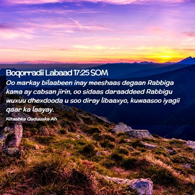 Picture 02 - Boqorradii Labaad 17:25 SOM - Oo markay bilaabeen inay meeshaas degaan Rabbiga - Bible Verse Picture