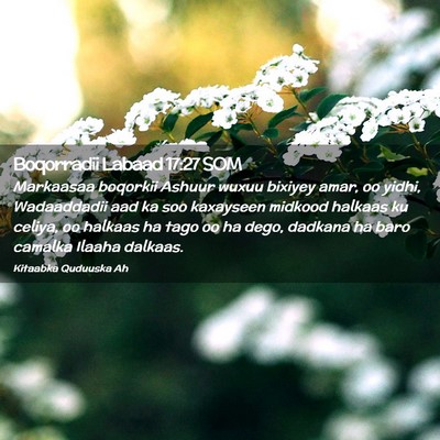 Picture 02 - Boqorradii Labaad 17:27 SOM - Markaasaa boqorkii Ashuur wuxuu bixiyey amar, oo - Bible Verse Picture