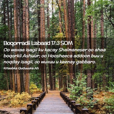 Picture 02 - Boqorradii Labaad 17:3 SOM - Oo waxaa isagii ku kacay Shalmaneser oo ahaa - Bible Verse Picture