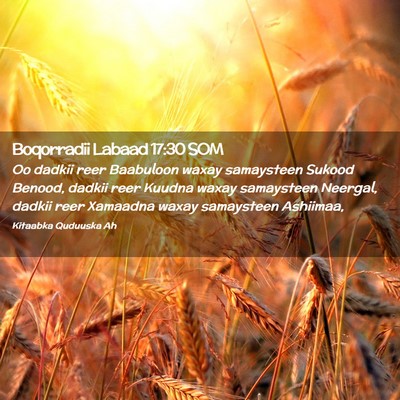 Picture 02 - Boqorradii Labaad 17:30 SOM - Oo dadkii reer Baabuloon waxay samaysteen Sukood - Bible Verse Picture