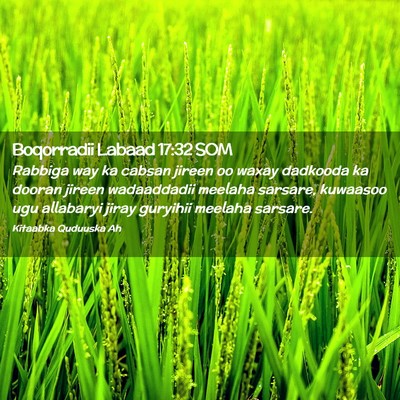 Picture 02 - Boqorradii Labaad 17:32 SOM - Rabbiga way ka cabsan jireen oo waxay dadkooda ka - Bible Verse Picture