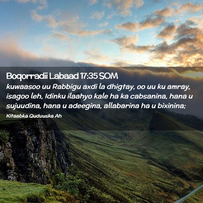 Picture 02 - Boqorradii Labaad 17:35 SOM - kuwaasoo uu Rabbigu axdi la dhigtay, oo uu ku - Bible Verse Picture