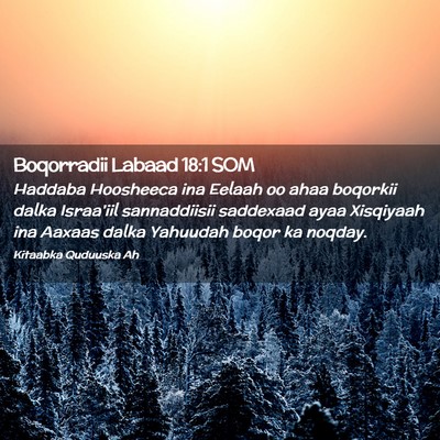 Picture 02 - Boqorradii Labaad 18:1 SOM - Haddaba Hoosheeca ina Eelaah oo ahaa boqorkii - Bible Verse Picture
