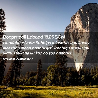 Picture 02 - Boqorradii Labaad 18:25 SOM - Haddaba miyaan Rabbiga la'aantiis ugu kacay - Bible Verse Picture