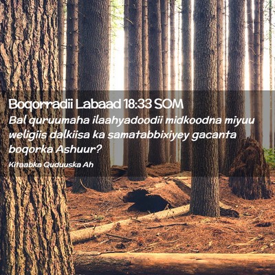Picture 02 - Boqorradii Labaad 18:33 SOM - Bal quruumaha ilaahyadoodii midkoodna miyuu - Bible Verse Picture