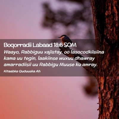 Picture 02 - Boqorradii Labaad 18:6 SOM - Waayo, Rabbiguu xajistay, oo lasocodkiisiina kama - Bible Verse Picture