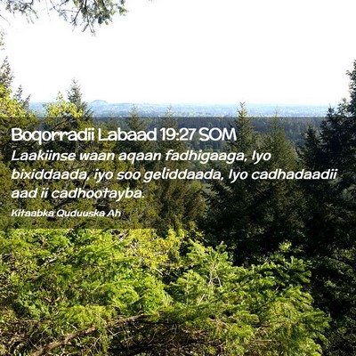 Picture 02 - Boqorradii Labaad 19:27 SOM - Laakiinse waan aqaan fadhigaaga, Iyo bixiddaada, - Bible Verse Picture