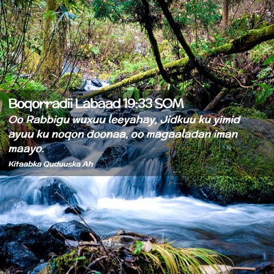 Picture 02 - Boqorradii Labaad 19:33 SOM - Oo Rabbigu wuxuu leeyahay, Jidkuu ku yimid ayuu - Bible Verse Picture