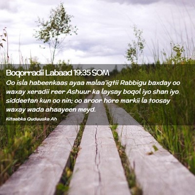 Picture 02 - Boqorradii Labaad 19:35 SOM - Oo isla habeenkaas ayaa malaa'igtii Rabbigu - Bible Verse Picture