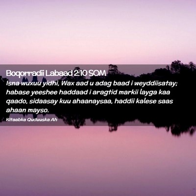 Picture 02 - Boqorradii Labaad 2:10 SOM - Isna wuxuu yidhi, Wax aad u adag baad i - Bible Verse Picture