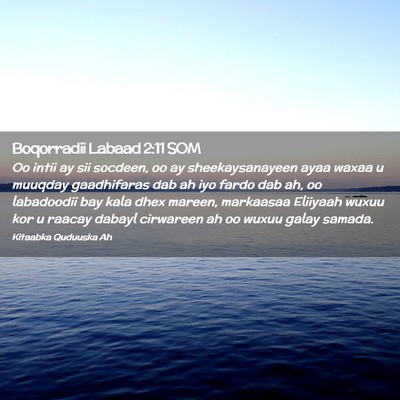 Picture 02 - Boqorradii Labaad 2:11 SOM - Oo intii ay sii socdeen, oo ay sheekaysanayeen - Bible Verse Picture