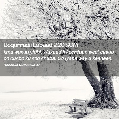 Picture 02 - Boqorradii Labaad 2:20 SOM - Isna wuxuu yidhi, Waxaad ii keentaan weel cusub - Bible Verse Picture