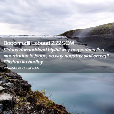 Picture 02 - Boqorradii Labaad 2:22 SOM - Sidaas daraaddeed biyihii way bogsadeen ilaa - Bible Verse Picture