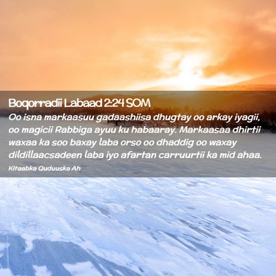Picture 02 - Boqorradii Labaad 2:24 SOM - Oo isna markaasuu gadaashiisa dhugtay oo arkay - Bible Verse Picture