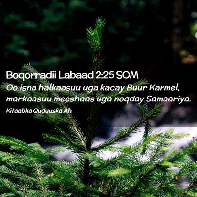 Picture 02 - Boqorradii Labaad 2:25 SOM - Oo isna halkaasuu uga kacay Buur Karmel, - Bible Verse Picture