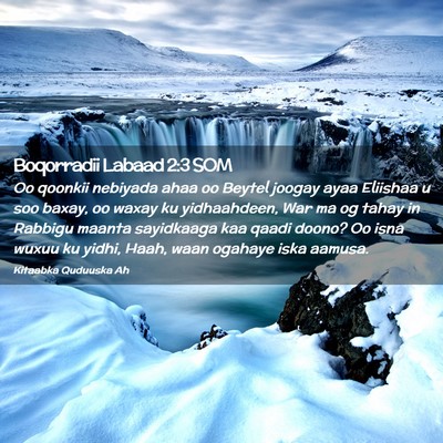 Picture 02 - Boqorradii Labaad 2:3 SOM - Oo qoonkii nebiyada ahaa oo Beytel joogay ayaa - Bible Verse Picture