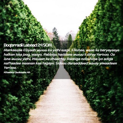 Picture 02 - Boqorradii Labaad 2:4 SOM - Markaasaa Eliiyaah wuxuu ku yidhi isagii, - Bible Verse Picture