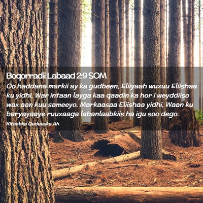 Picture 02 - Boqorradii Labaad 2:9 SOM - Oo haddana markii ay ka gudbeen, Eliiyaah wuxuu - Bible Verse Picture