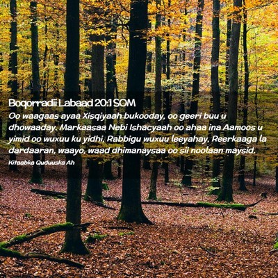 Picture 02 - Boqorradii Labaad 20:1 SOM - Oo waagaas ayaa Xisqiyaah bukooday, oo geeri buu - Bible Verse Picture