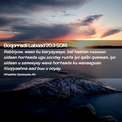 Picture 02 - Boqorradii Labaad 20:3 SOM - Rabbiyow, waan ku baryayaaye, bal haatan xusuuso - Bible Verse Picture