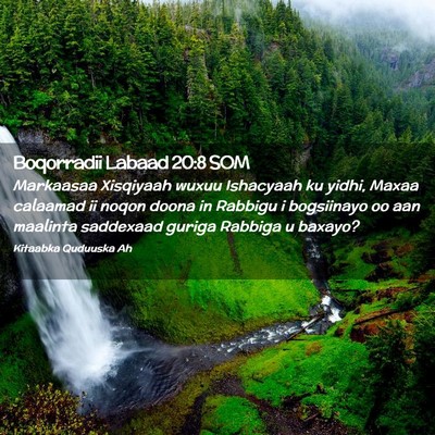Picture 02 - Boqorradii Labaad 20:8 SOM - Markaasaa Xisqiyaah wuxuu Ishacyaah ku yidhi, - Bible Verse Picture