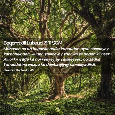 Picture 02 - Boqorradii Labaad 21:11 SOM - Manaseh oo ah boqorka dalka Yahuudah ayaa - Bible Verse Picture