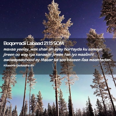 Picture 02 - Boqorradii Labaad 21:15 SOM - maxaa yeelay, wax shar ah ayay hortayda ku samayn - Bible Verse Picture