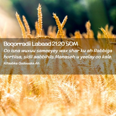 Picture 02 - Boqorradii Labaad 21:20 SOM - Oo isna wuxuu sameeyey wax shar ku ah Rabbiga - Bible Verse Picture