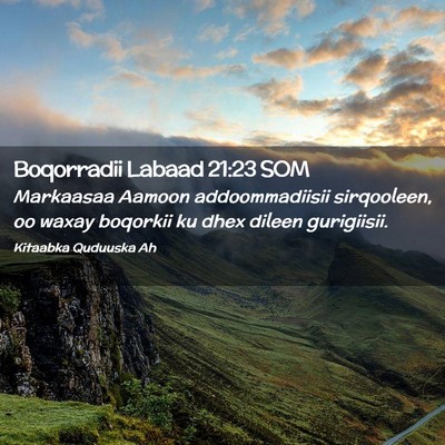 Picture 02 - Boqorradii Labaad 21:23 SOM - Markaasaa Aamoon addoommadiisii sirqooleen, oo - Bible Verse Picture