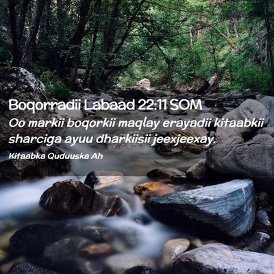 Picture 02 - Boqorradii Labaad 22:11 SOM - Oo markii boqorkii maqlay erayadii kitaabkii - Bible Verse Picture