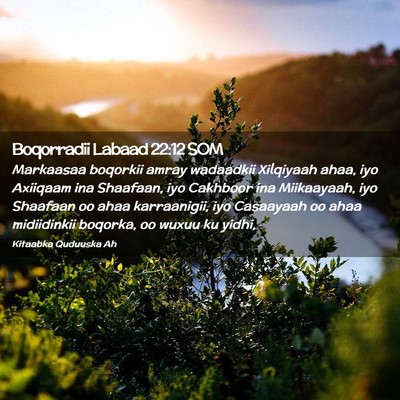 Picture 02 - Boqorradii Labaad 22:12 SOM - Markaasaa boqorkii amray wadaadkii Xilqiyaah - Bible Verse Picture