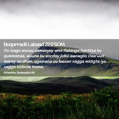 Picture 02 - Boqorradii Labaad 22:2 SOM - Oo isagu wuxuu sameeyey wixii Rabbiga hortiisa ku - Bible Verse Picture