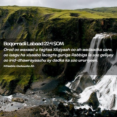 Picture 02 - Boqorradii Labaad 22:4 SOM - Orod oo waxaad u tagtaa Xilqiyaah oo ah wadaadka - Bible Verse Picture