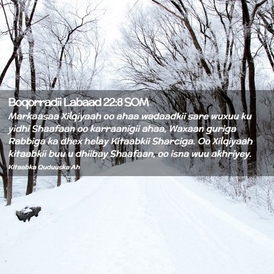 Picture 02 - Boqorradii Labaad 22:8 SOM - Markaasaa Xilqiyaah oo ahaa wadaadkii sare wuxuu - Bible Verse Picture