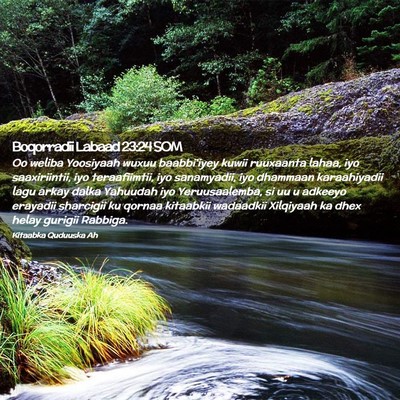 Picture 02 - Boqorradii Labaad 23:24 SOM - Oo weliba Yoosiyaah wuxuu baabbi'iyey kuwii - Bible Verse Picture