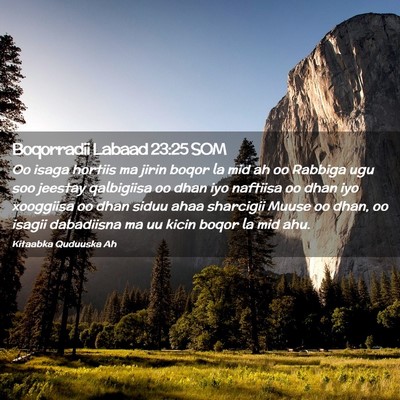 Picture 02 - Boqorradii Labaad 23:25 SOM - Oo isaga hortiis ma jirin boqor la mid ah oo - Bible Verse Picture