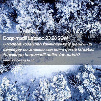 Picture 02 - Boqorradii Labaad 23:28 SOM - Haddaba Yoosiyaah falimihiisii kale iyo wixii uu - Bible Verse Picture