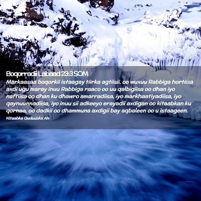 Picture 02 - Boqorradii Labaad 23:3 SOM - Markaasaa boqorkii istaagay tiirka agtiisii, oo - Bible Verse Picture