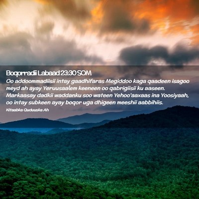 Picture 02 - Boqorradii Labaad 23:30 SOM - Oo addoommadiisii intay gaadhifaras Megiddoo kaga - Bible Verse Picture