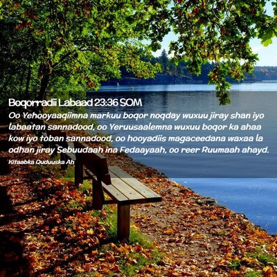 Picture 02 - Boqorradii Labaad 23:36 SOM - Oo Yehooyaaqiimna markuu boqor noqday wuxuu jiray - Bible Verse Picture