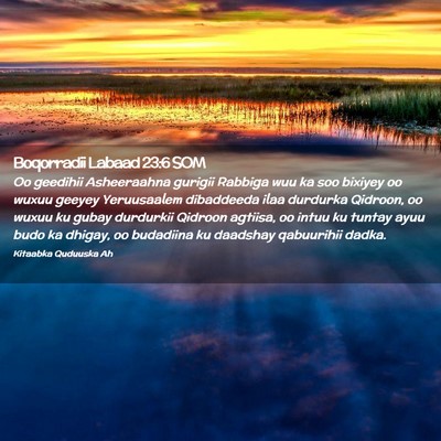 Picture 02 - Boqorradii Labaad 23:6 SOM - Oo geedihii Asheeraahna gurigii Rabbiga wuu ka - Bible Verse Picture