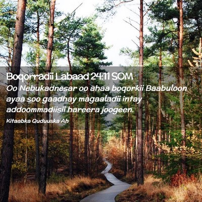 Picture 02 - Boqorradii Labaad 24:11 SOM - Oo Nebukadnesar oo ahaa boqorkii Baabuloon ayaa - Bible Verse Picture