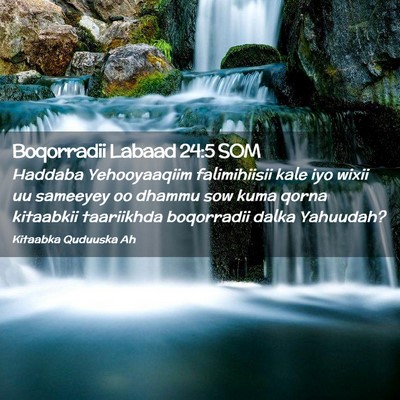 Picture 02 - Boqorradii Labaad 24:5 SOM - Haddaba Yehooyaaqiim falimihiisii kale iyo wixii - Bible Verse Picture