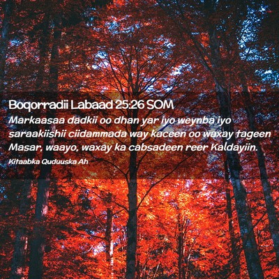 Picture 02 - Boqorradii Labaad 25:26 SOM - Markaasaa dadkii oo dhan yar iyo weynba iyo - Bible Verse Picture