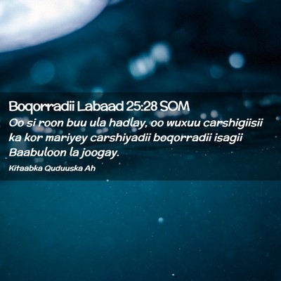Picture 02 - Boqorradii Labaad 25:28 SOM - Oo si roon buu ula hadlay, oo wuxuu carshigiisii - Bible Verse Picture