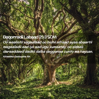Picture 02 - Boqorradii Labaad 25:3 SOM - Oo maalintii sagaalaad oo bishii afraad ayaa - Bible Verse Picture