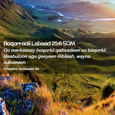 Picture 02 - Boqorradii Labaad 25:6 SOM - Oo markaasay boqorkii qabsadeen oo boqorkii - Bible Verse Picture