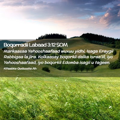 Picture 02 - Boqorradii Labaad 3:12 SOM - Markaasaa Yehooshaafaad wuxuu yidhi, Isaga - Bible Verse Picture