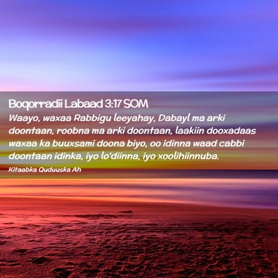 Picture 02 - Boqorradii Labaad 3:17 SOM - Waayo, waxaa Rabbigu leeyahay, Dabayl ma arki - Bible Verse Picture