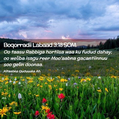 Picture 02 - Boqorradii Labaad 3:18 SOM - Oo taasu Rabbiga hortiisa waa ku fudud dahay; oo - Bible Verse Picture